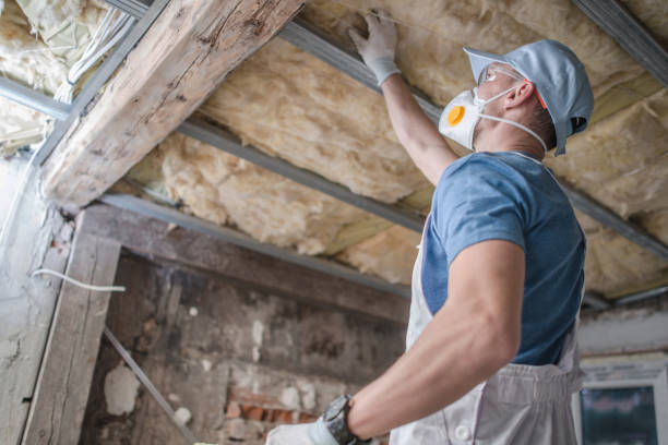 Professional Insulation Contractor in Harrisville, UT
